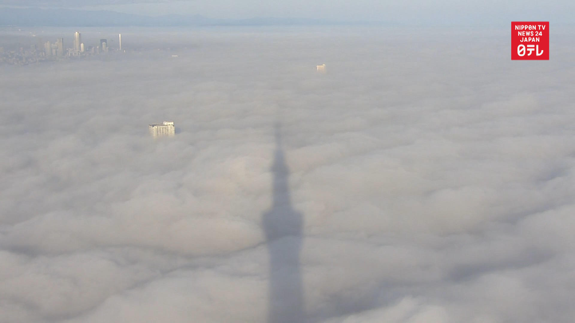 Fog blankets Tokyo