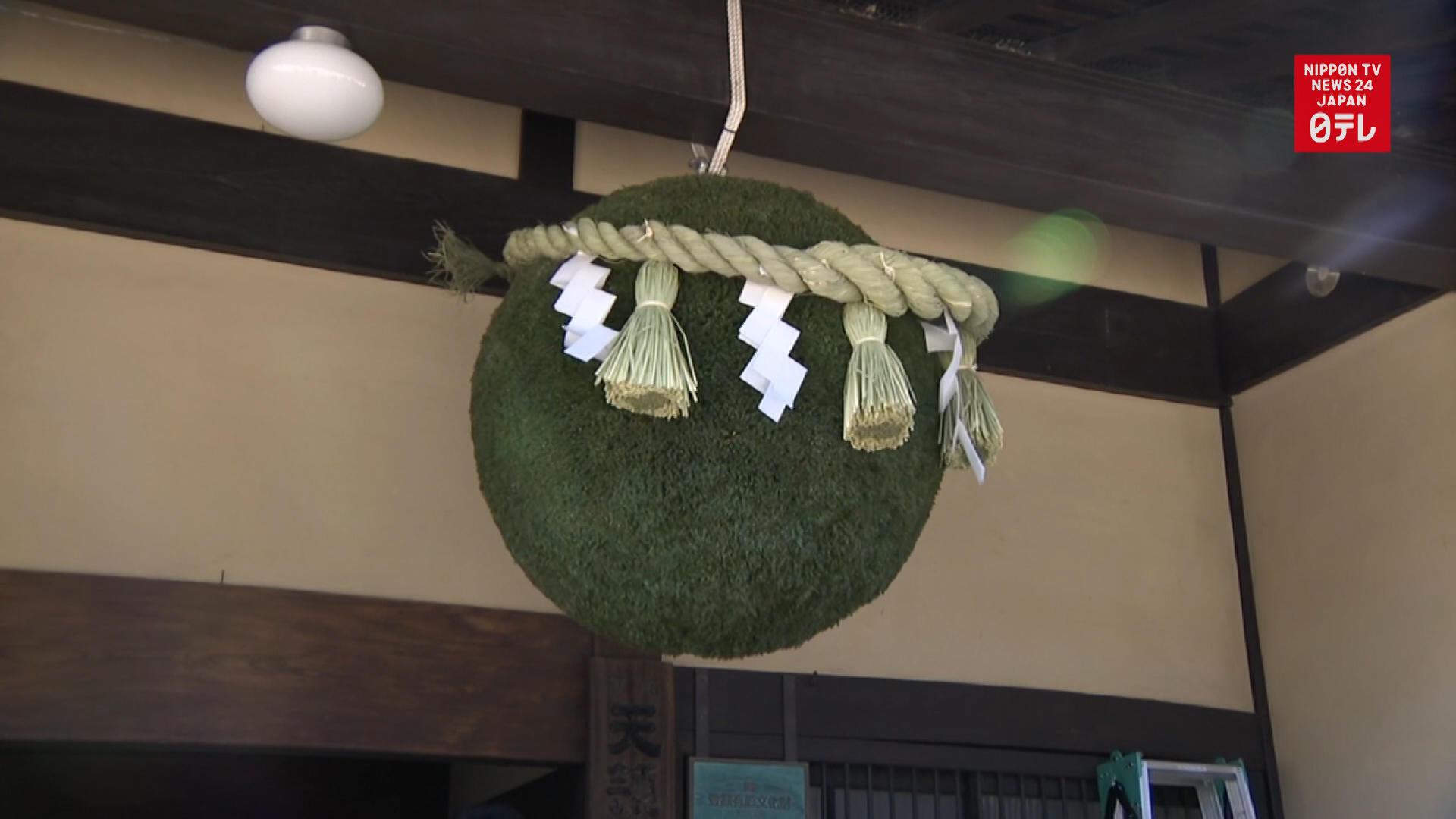 New sake, new cedar ball