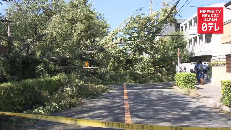 Typhoon leaves path of destruction