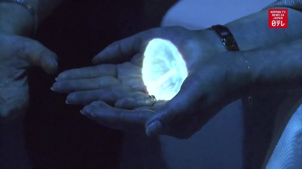 Jellyfish experience