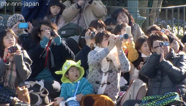 Frozen fantasy at Tokyo Disneyland