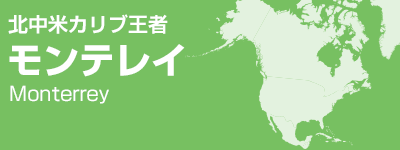 北中米カリブ王者 モンテレイ