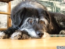 0628-1.JPGのサムネール画像