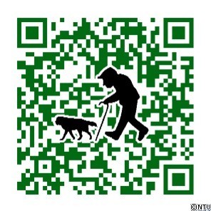 qr.jpg