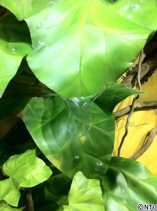 5-METRO GHIBLI Gallery.jpg