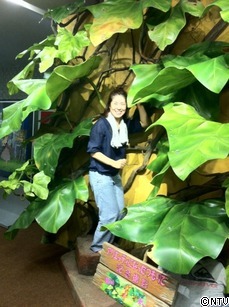 7-METRO GHIBLI Gallery.jpg