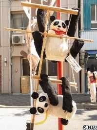 kakashi1.JPGのサムネール画像