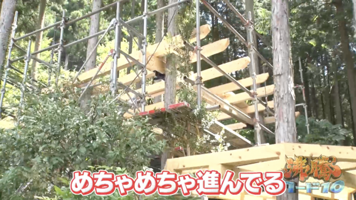 タケノコ王のDIYツリーハウス作りに密着！みやぞん＆岩田絵里奈アナも