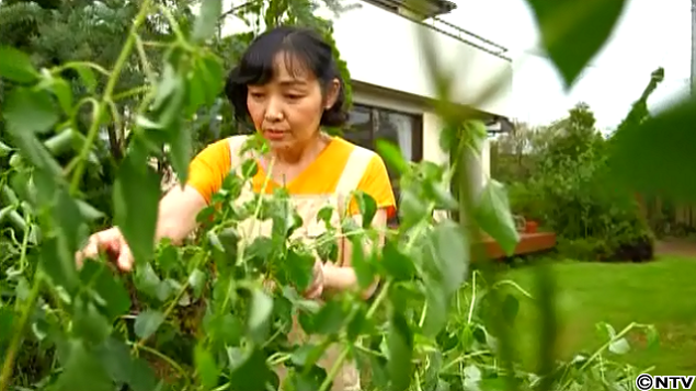 食べてはイケない まさかの食材 ザ 世界仰天ニュース 日本テレビ