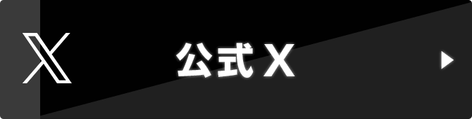 公式X