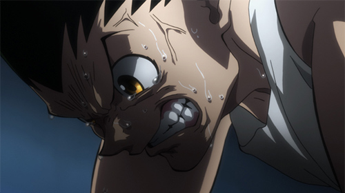 ストーリー｜HUNTER×HUNTER｜日本テレビ