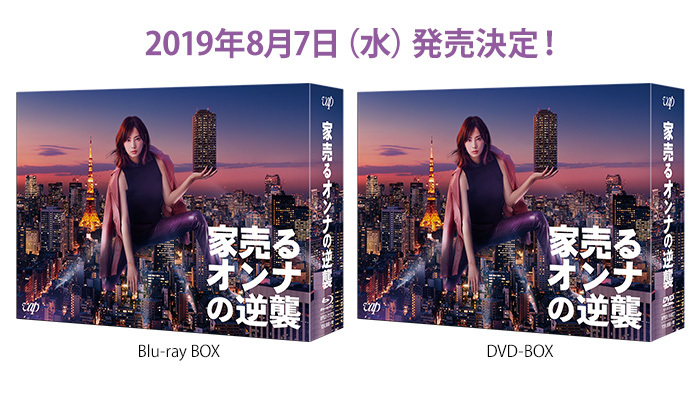 家売るオンナの逆襲 Blu-ray BOX | angeloawards.com