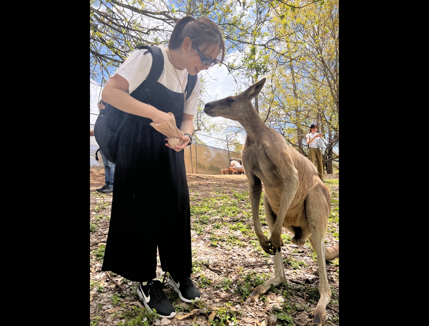 オーストラリアでの新しい出会いに感動しました。