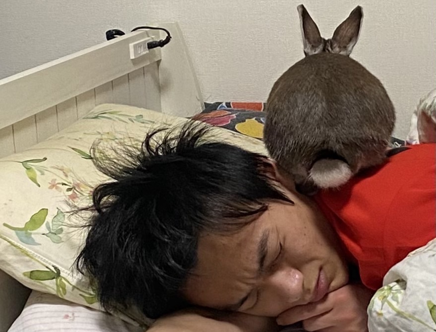 体力が限界を迎えた時は、一緒に住むうさぎさんがパワーをくれます。