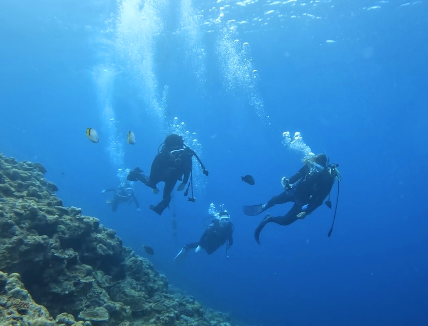 学会のついでに沖縄で研究室の先輩方とダイビング。留学生ともグッと距離が縮まりました。