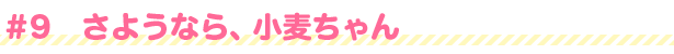 #9 さようなら、小麦ちゃん