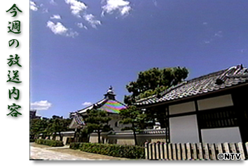 ���T�̕������e