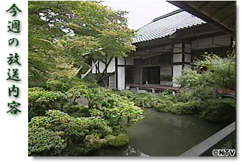 ���T�̕������e