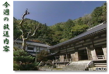 ���T�̕������e