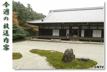 ���T�̕������e