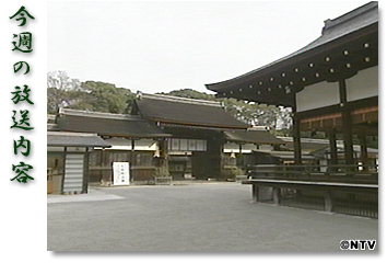 ���T�̕������e