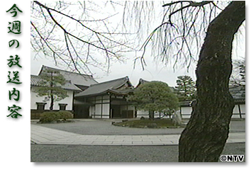 ���T�̕������e