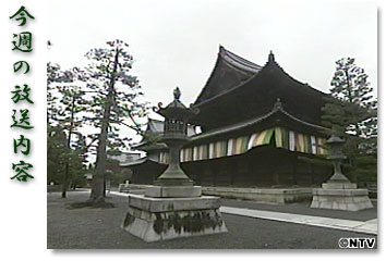 ���T�̕������e