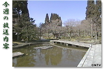 ���T�̕������e