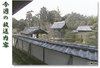 ���T�̕������e