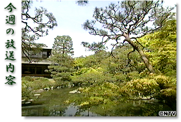 ���T�̕������e