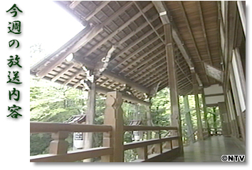 ���T�̕������e