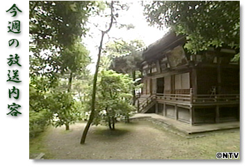 ���T�̕������e