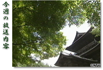 ���T�̕������e