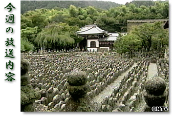 今週の放送内容