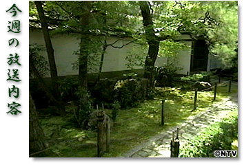 ���T�̕������e