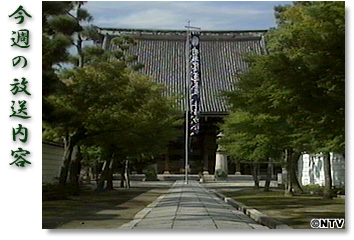 ���T�̕������e