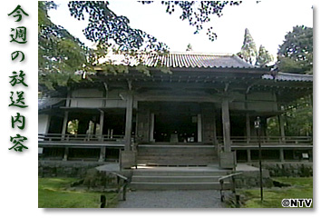 ���T�̕������e