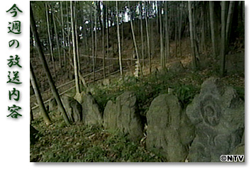 今週の放送内容