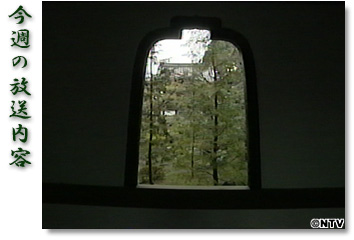 ���T�̕������e