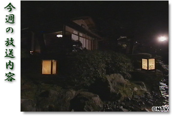 ���T�̕������e