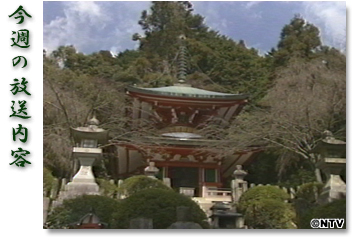 ���T�̕������e