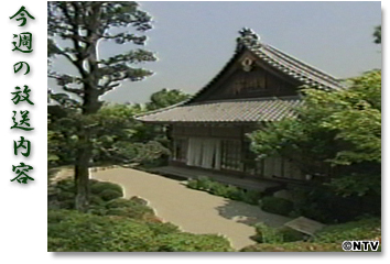 ���T�̕������e