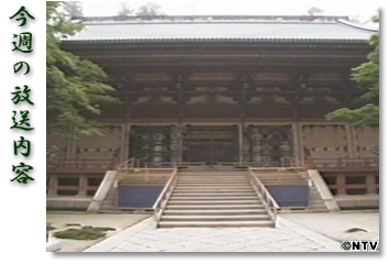 ���T�̕������e