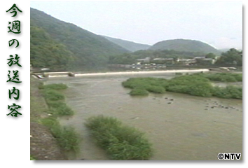 ���T�̕������e