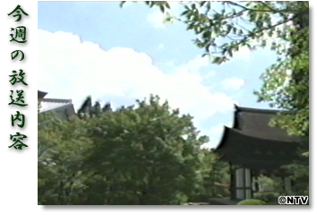 ���T�̕������e