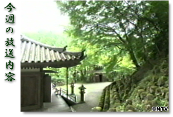 ���T�̕������e