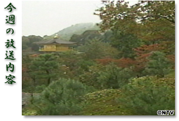 ���T�̕������e