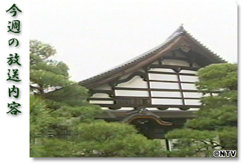 ���T�̕������e