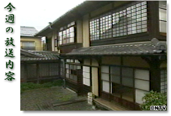 ���T�̕������e