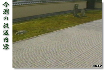 ���T�̕������e